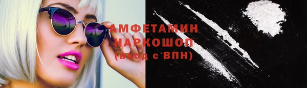 шишки Мегион