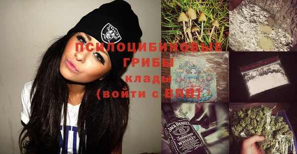 шишки Мегион