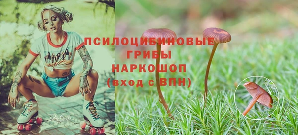 меф Михайловск