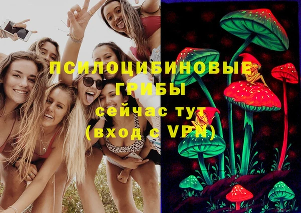 а пвп мука Медвежьегорск