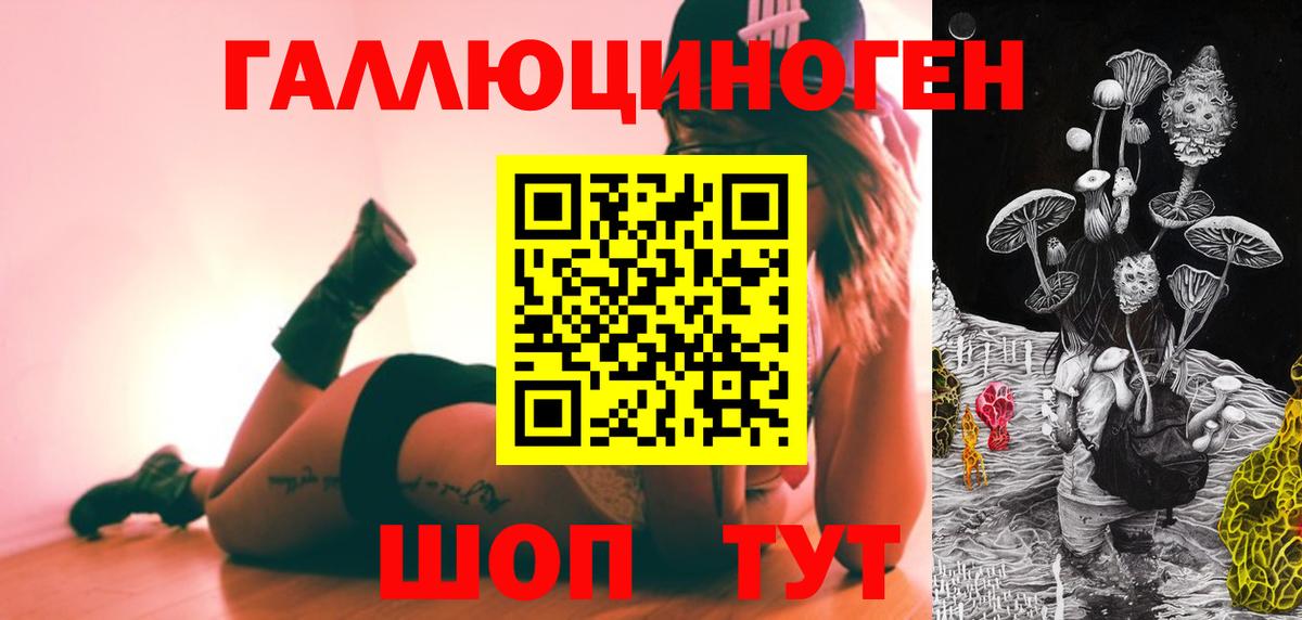 продажа наркотиков  Благодарный  Галлюциногенные грибы Psilocybine cubensis 